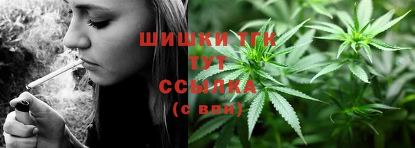 гашик Касимов