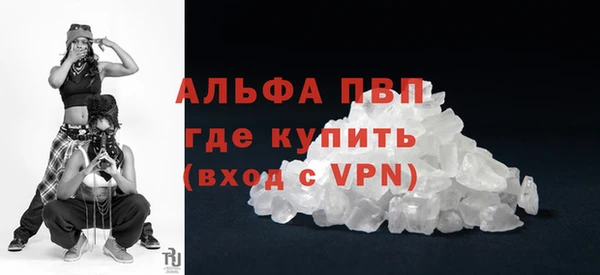 гашик Касимов