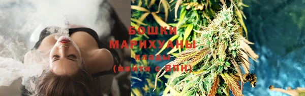 гашик Касимов