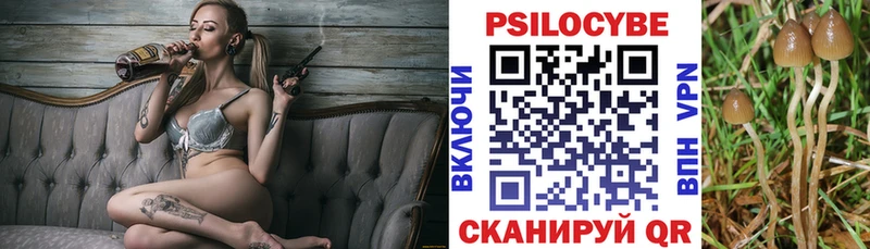 Галлюциногенные грибы Psilocybe Купить закладки Сычёвка